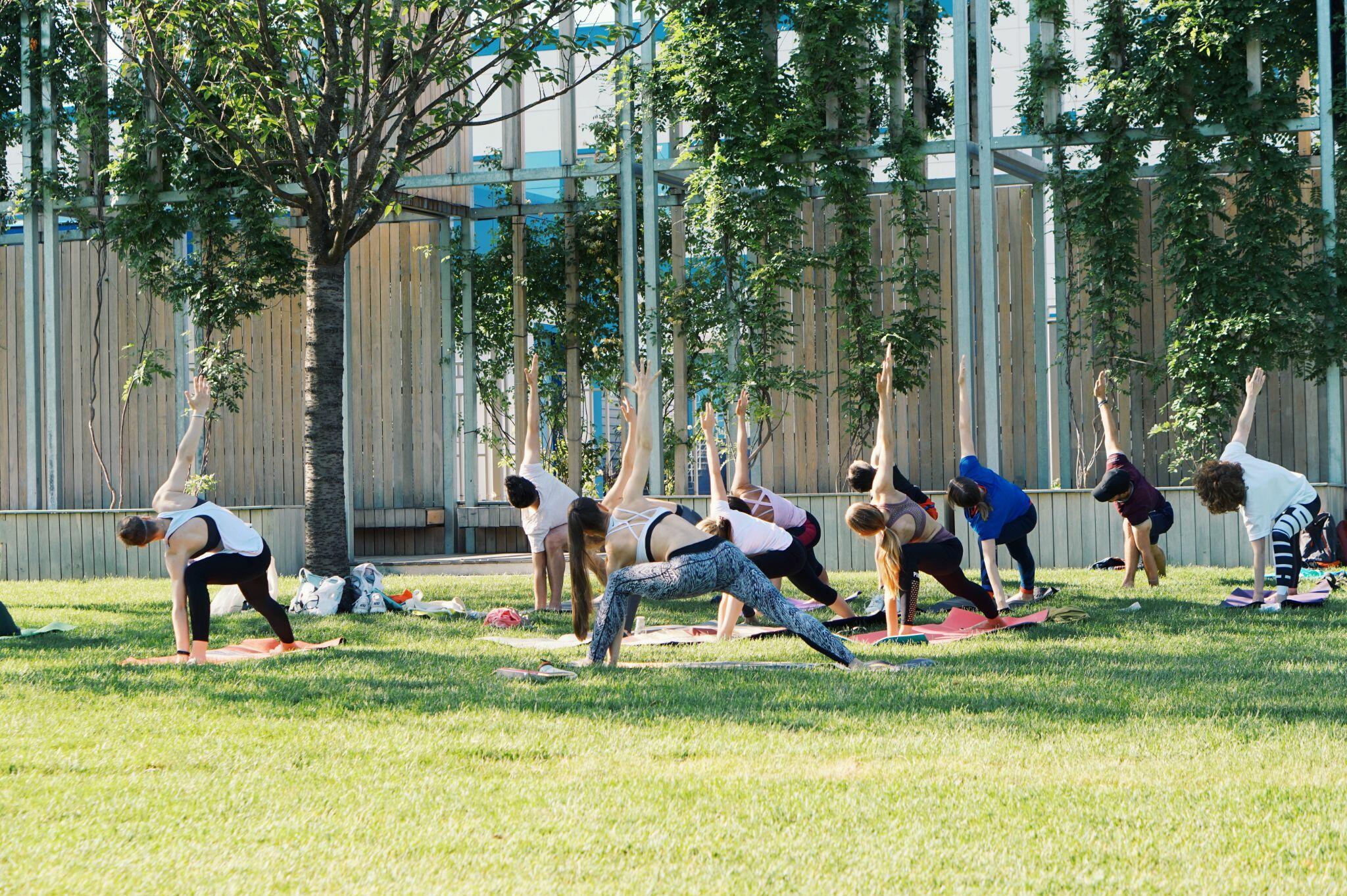 Yoga Class Happening Outdoors