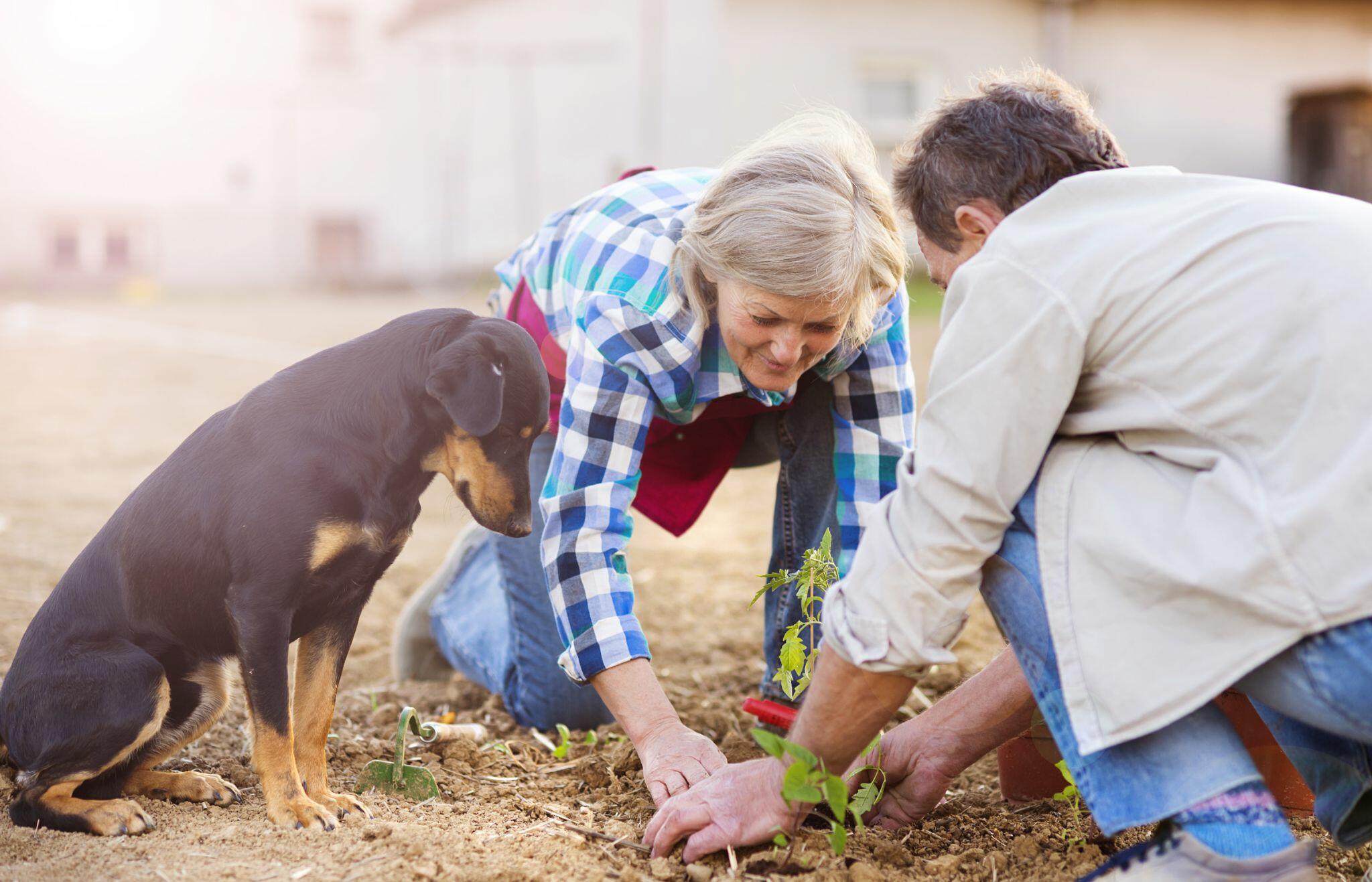 Seniors in their Garden 2